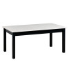 Ława PIXI 1 60x110cm laminowany